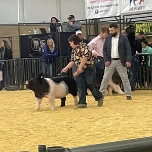 Meet your Posher, Katie